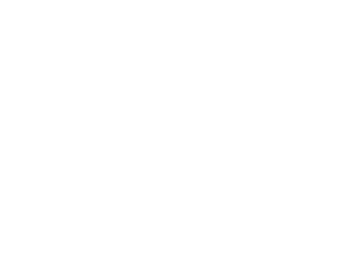 Distinctive Lawns and Paving