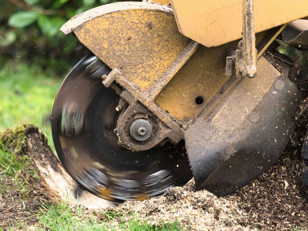 Tree Stump Grinding Services Doncaster